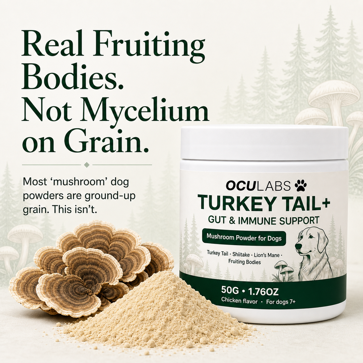 OcuLabs Turkey Tail+ jar beside turkey tail mushrooms with the message Not Mycelium on Grain