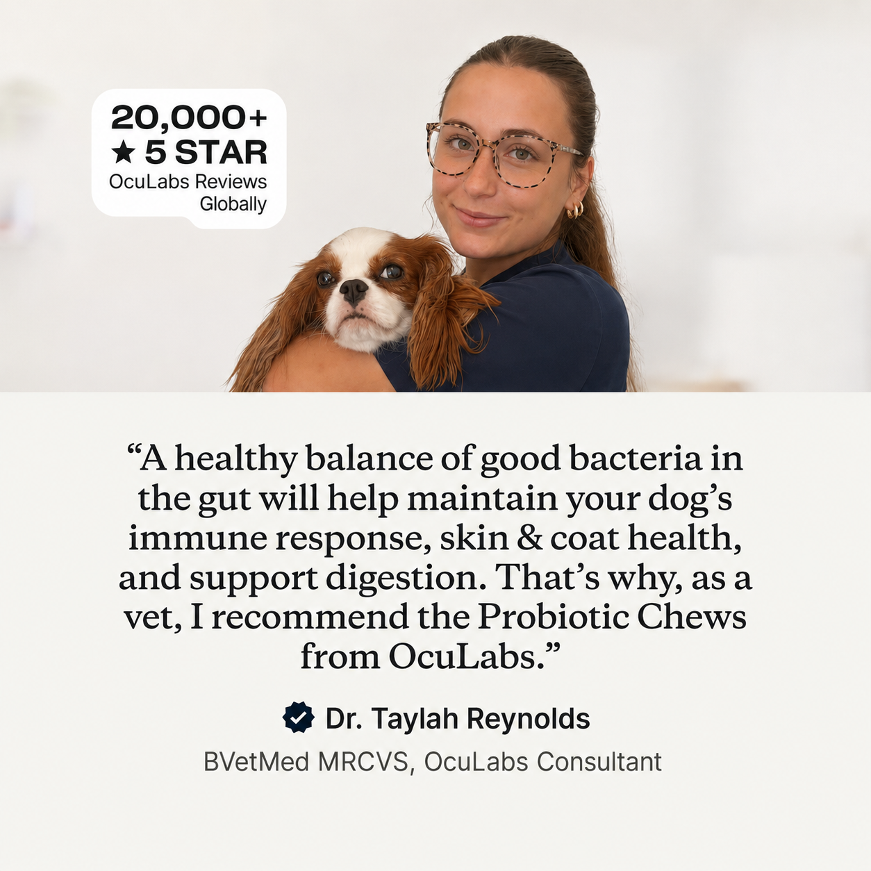 Probiotic Chews