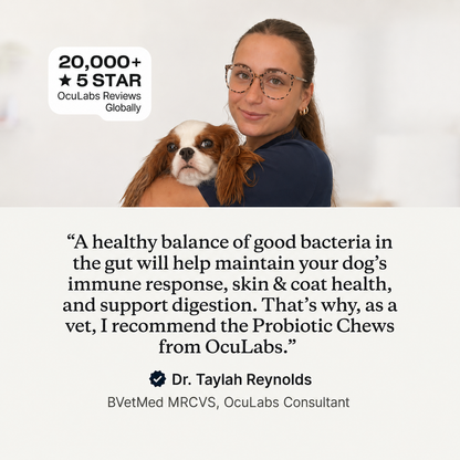 Probiotic Chews