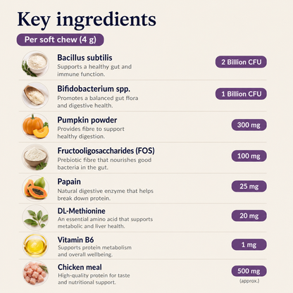 Probiotic Chews