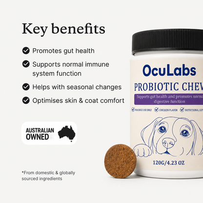 Probiotic Chews