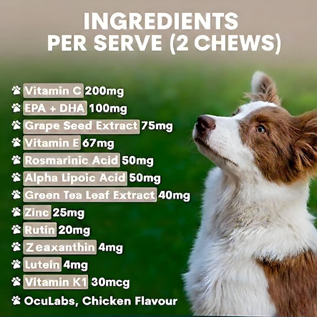 Vision Support Chews