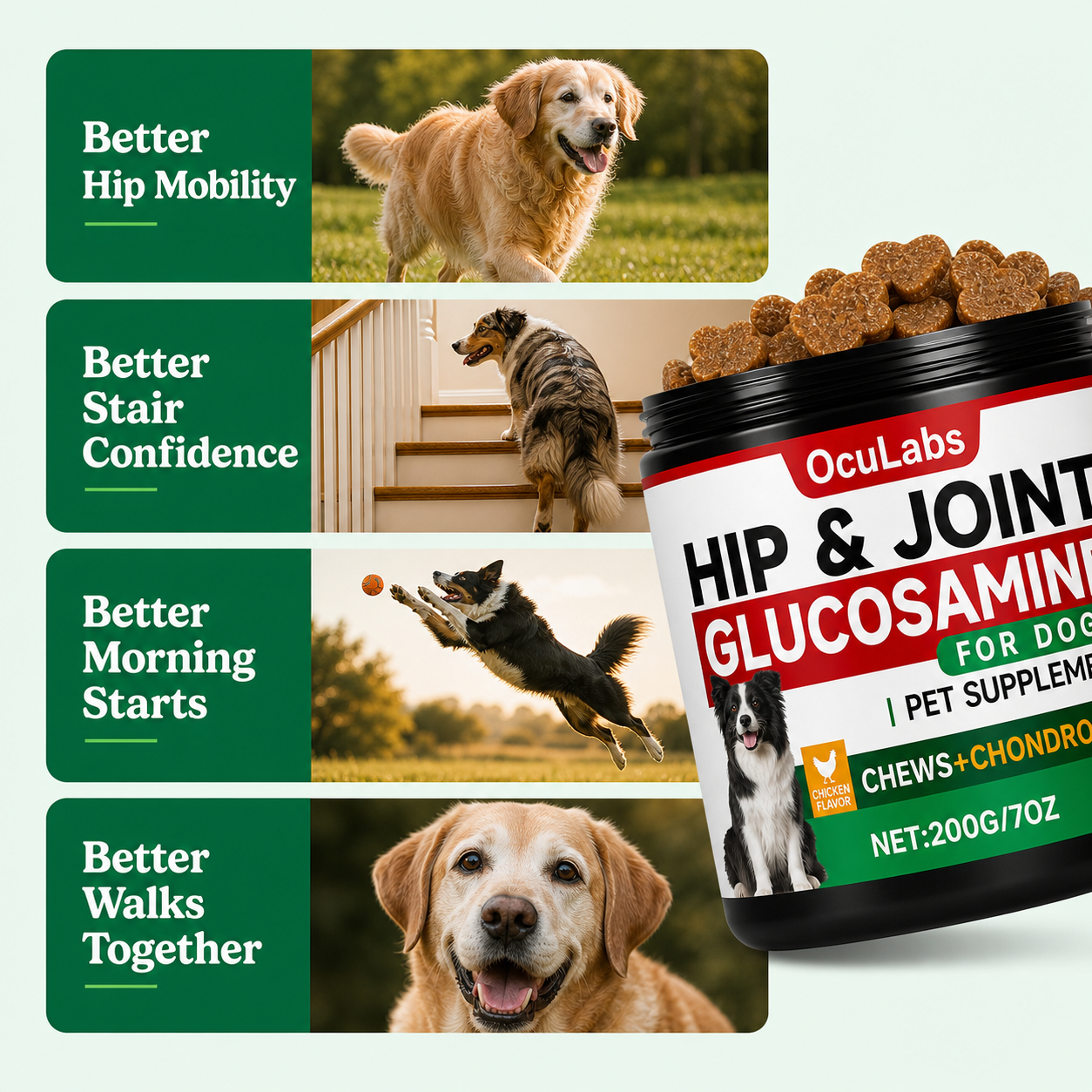 Hip + Joint Support Chews