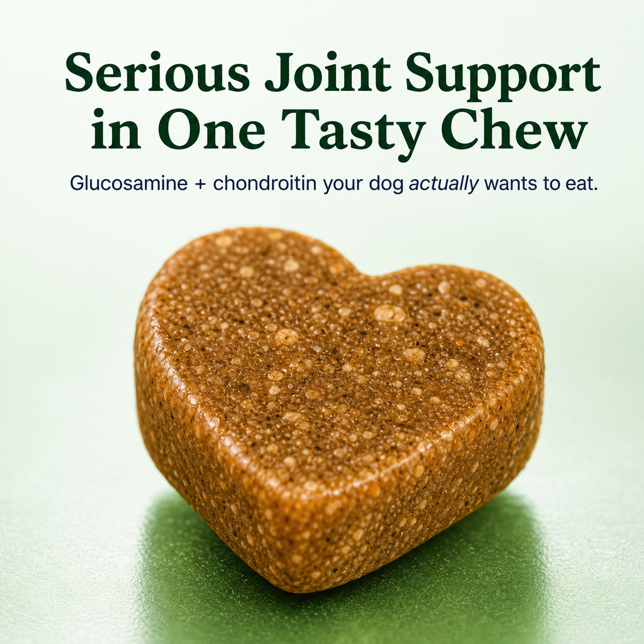 Hip + Joint Support Chews
