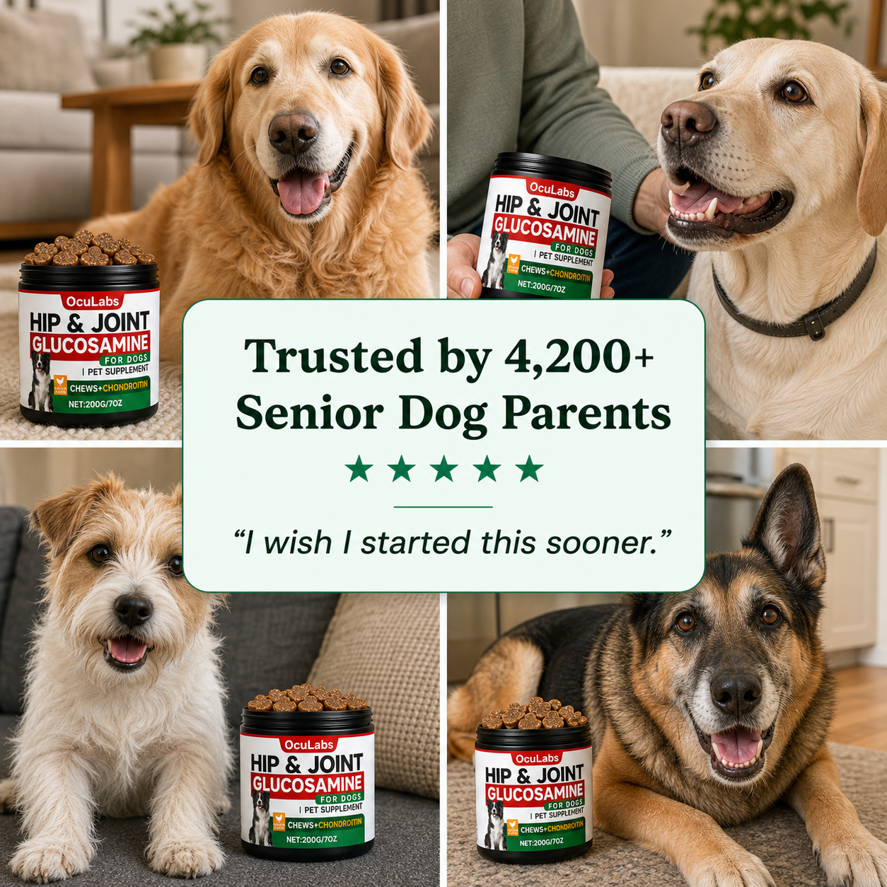 Hip + Joint Support Chews