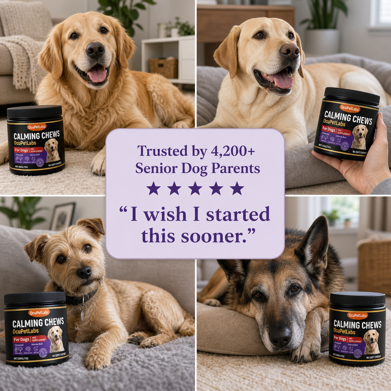 Calming + Anxiety Support Chews