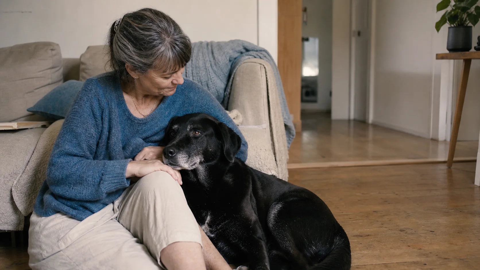 A pet parent sharing a quiet moment with her senior black Labrador mix